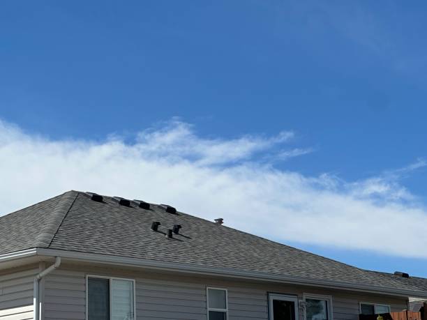 Best Metal Roofing Installation  in Bayfield, CO